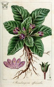 15590183021_50fab16560_h