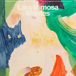 The Time of the Novel cover
