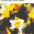 71RLw39cysL._SL1360_