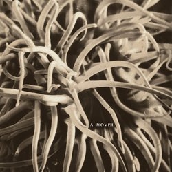 LittleNeck-cvr-front