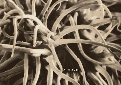 LittleNeck-cvr-front