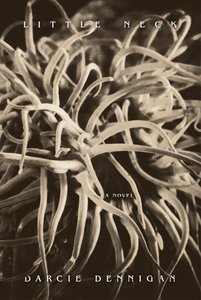 LittleNeck-cvr-front