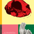Still+Alive_Front+Cover