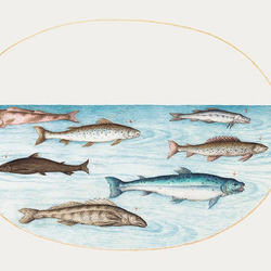 czNmcy1wcml2YXRlL3Jhd3BpeGVsX2ltYWdlcy93ZWJzaXRlX2NvbnRlbnQvbHIvcGQyMDktMDI0XzEuanBn