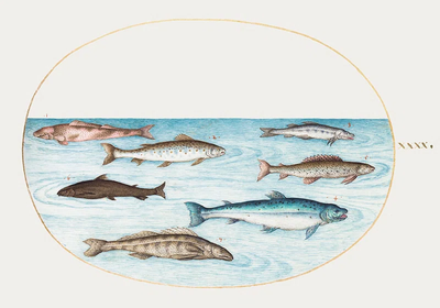 czNmcy1wcml2YXRlL3Jhd3BpeGVsX2ltYWdlcy93ZWJzaXRlX2NvbnRlbnQvbHIvcGQyMDktMDI0XzEuanBn