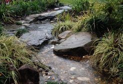 dry-creek-bed-during-storm