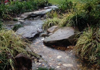 dry-creek-bed-during-storm