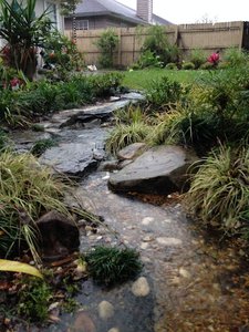 dry-creek-bed-during-storm