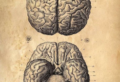 il_1588xN.2348490279_ffnh