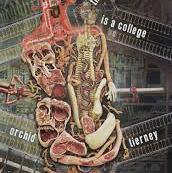 Cover of Orchid Tierney's This College is an Abbatoir