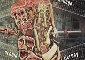 Cover of Orchid Tierney's This College is an Abbatoir