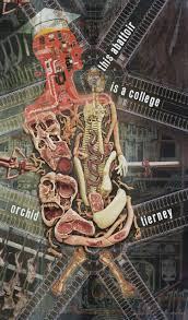 Cover of Orchid Tierney's This College is an Abbatoir
